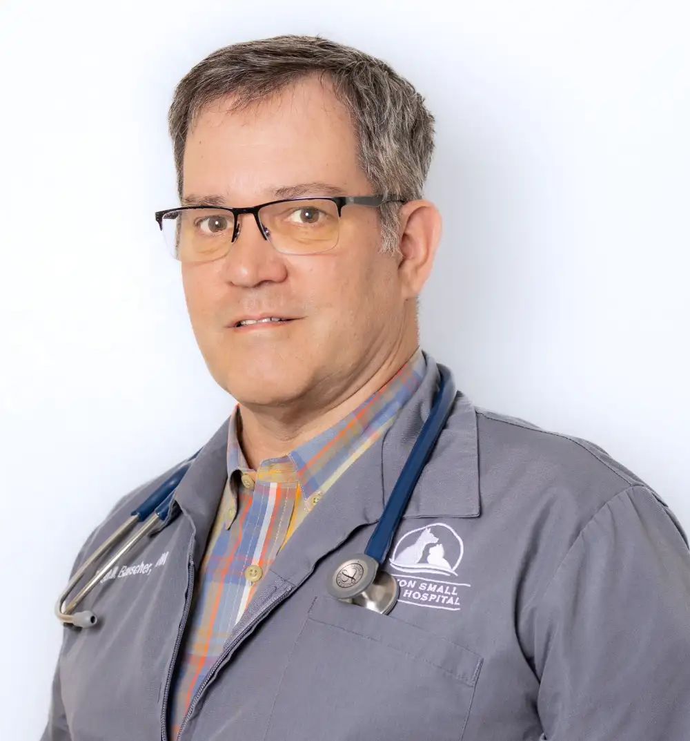 Dr. Brett W. Bauscher