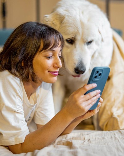Woman using blue mobile phone beside white Labrador for pet wellness planning