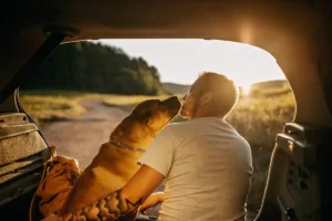 Dog With Man