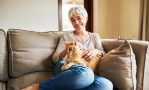Senior Pets