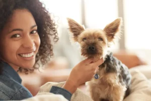 Small Pet Dogs